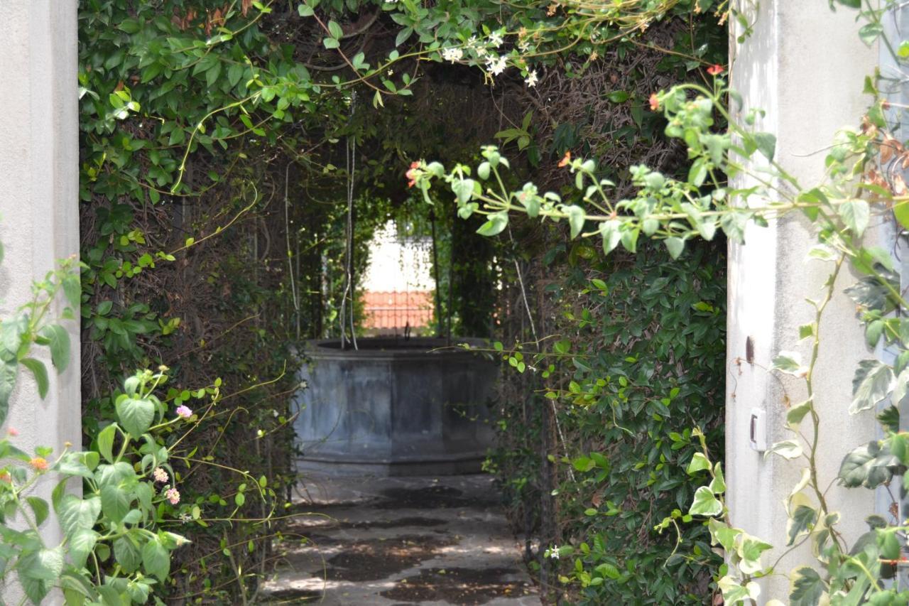 I Giardini Del Vesuvio Villa Somma Vesuviana Exterior photo